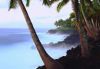Tropics002.jpg