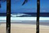 Tropics013.jpg