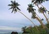 Tropics018.jpg