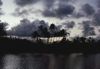 Tropics020.jpg