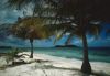 Tropics022.jpg