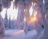 misc_00009.jpg