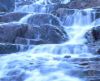 misc_00044.jpg