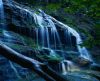misc_00048.jpg
