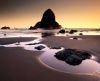 misc_00049.jpg