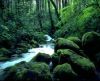misc_00051.jpg