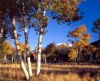 misc_00086.jpg