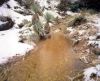 misc_00095.jpg