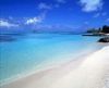 misc_00110.jpg