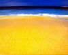 misc_00113.jpg
