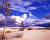 misc_00526.jpg