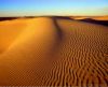 misc_00527.jpg
