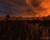 misc_00681.jpg
