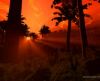 misc_00756.jpg