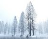 misc_00758.jpg