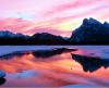 misc_00819.jpg