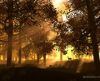 misc_00864.jpg