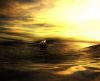 misc_00868.jpg