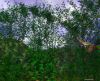 misc_01009.jpg