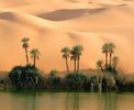 nature008.jpg