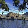 places002.jpg