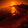 places025.jpg