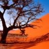 places029.jpg