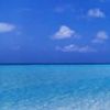 places040.jpg