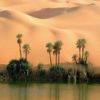 places045.jpg