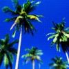 places049.jpg