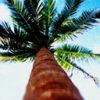 places050.jpg