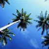 places051.jpg