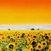 places052.jpg