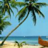 places059.jpg