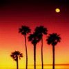 places065.jpg