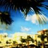 places073.jpg