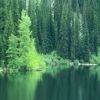 places079.jpg