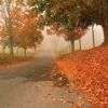 places080.jpg