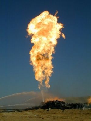 Firewater_s_jpg_extramedium.jpg