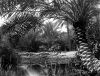 اسم الصورة=D_01775.jpg
حجم الملف=349كيلوبايت
الأبعاد=700x533
تاريخ الإضافة=%699 %07, %2008 D_01775.jpg