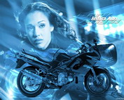 misc_01125.jpg