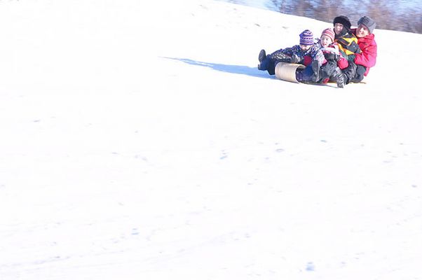 Family tobogganing uid 1427146.jpg