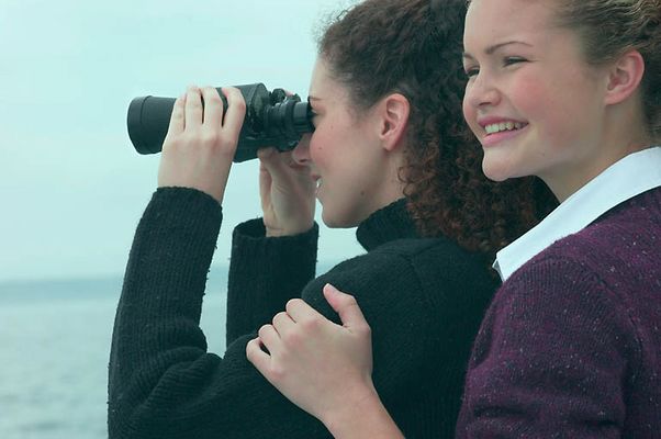 Women looking through binoculars uid 1283645.jpg