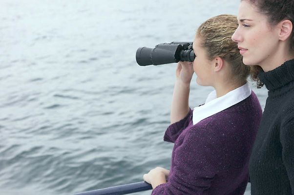 Women looking through binoculars uid 1283646.jpg