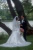 Wedding photo of couple near tree.jpg
