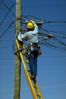 Worker fixing telephone wires on pole.jpg