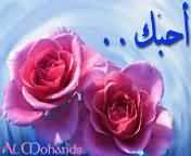 118__Al_MoHaNdS.JPG