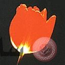 love_44.jpg