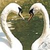 love_25.jpg