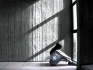 اسم الصورة=reee21.jpg
حجم الملف=38كيلوبايت
الأبعاد=600x450
تاريخ الإضافة=%469 %03, %2006 reee21.jpg